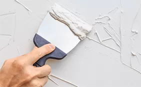 Why Add Redispersible Polymer (VAE/RDP) Powder in Wall Putty?